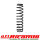 Feder hinten Alfa Giulia 105/115 Bj. 1962 - 1978