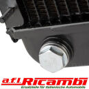 Kühler mechanischer Lüfter Alfa Spider 2000 ie...