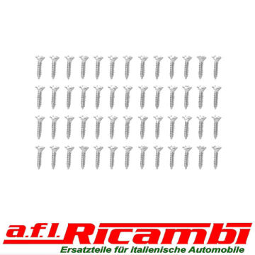 Schraubensatz (52 Stück) Befestigungsschienen Türdichtung Alfa GT Bertone 105/115 Bj.1963-1977